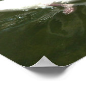 De witte zwaan poster (Hoek)