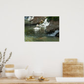 De witte zwaan poster (Keuken)