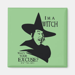 De wizard OZ™   Ik ben een heks Magneet