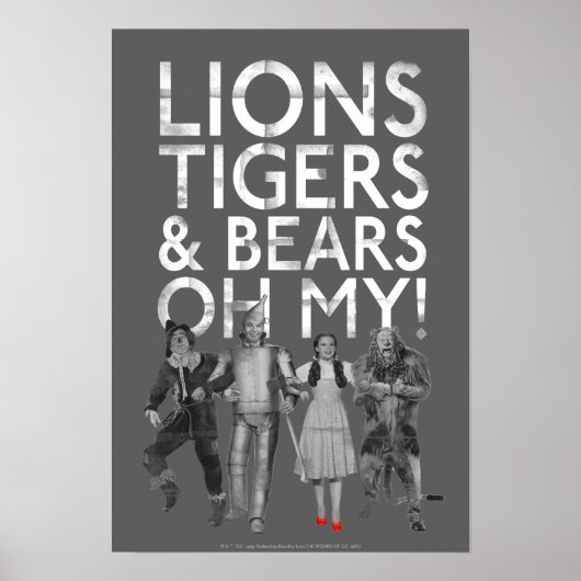 De wizard OZ™ | Liontijgers en Beren Oh mijn! Poster (Voorkant)