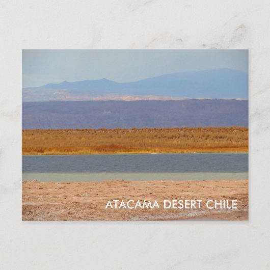 De Woestijn van Atacama, het Briefkaart van Chili (Voorkant)