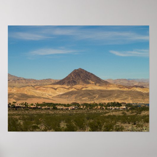 De woestijn van Zuid-Nevada Poster (Voorkant)