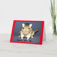 De Woestijnrat van afstuderen