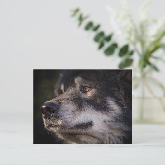 De Wolf Briefkaart (Staand voorkant)