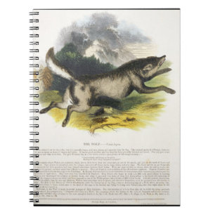 De Wolf (Canis lupus) is een educatieve illustrati Notitieboek
