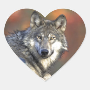 De Wolf Hart Sticker