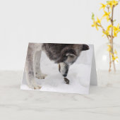 De wolf ontmoet Muis Kaart (Gele Bloem)