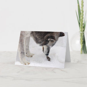 De wolf ontmoet Muis Kaart