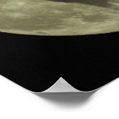 De wolf poster (Hoek)