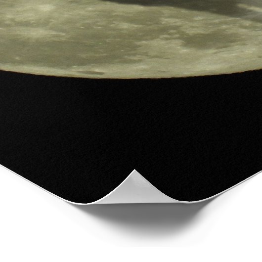 De wolf poster (Hoek)