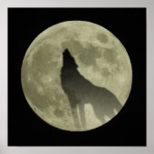 De wolf poster (Voorkant)