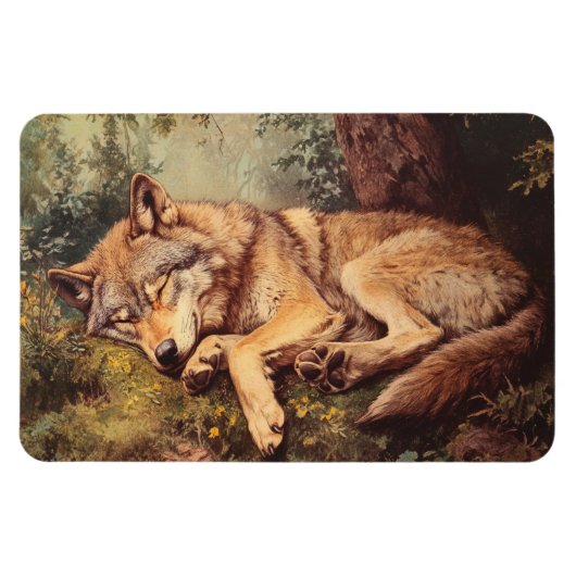 De wolf slaapt in het bos magneet (Horizontaal)
