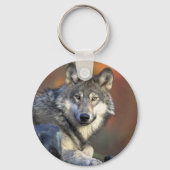 De Wolf Sleutelhanger (Voorkant)