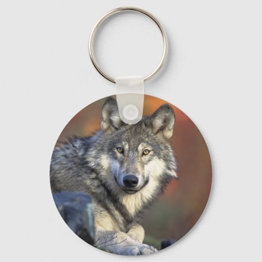 De Wolf Sleutelhanger (Voorkant)