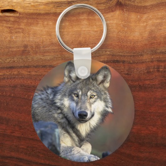 De Wolf Sleutelhanger (Voorkant)