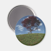 De wolken gaan door Magnet worden gesneden (Voorkant / Achterkant)