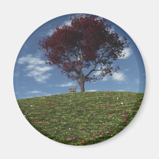 De wolken gaan door Magnet worden gesneden (Voorkant)