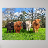 De wolken. poster (Voorkant)