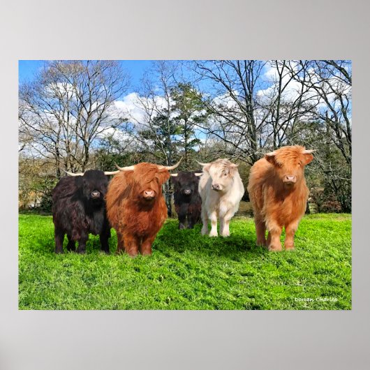 De wolken. poster (Voorkant)