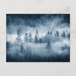 De wolken van het woud van de Regen in de Stille O Briefkaart