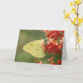 De wolkenloze Kaart van de Nota van de Vlinder van (Gele Bloem)