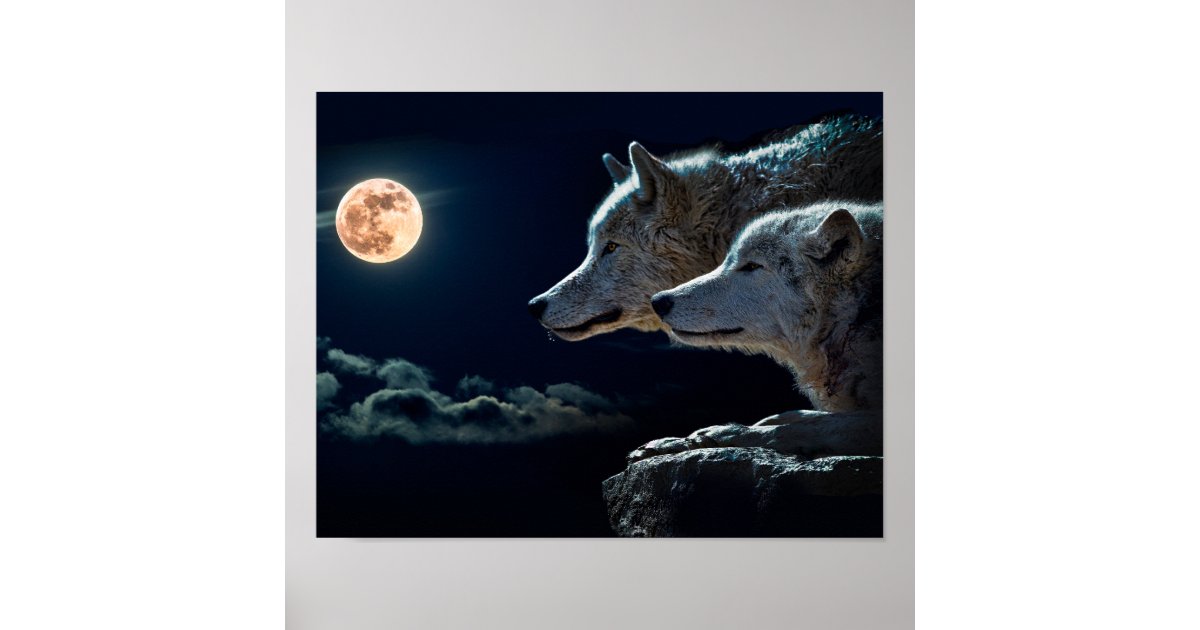 De Wolven die van de wolf bij de Volle maan huilen Poster | Zazzle.nl