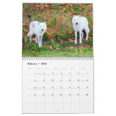 De Wolven van Canada (kalender) Kalender (Feb 2026)