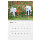 De Wolven van Canada (kalender) Kalender (Feb 2027)
