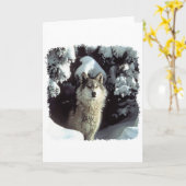 De Wolven van de Wolf van de sneeuw Kaart (Gele Bloem)