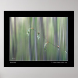 De wonderbaarlijke lichtheid van het vroege voorja poster