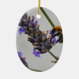 De wonderbaarlijke werkers van de natuur keramisch ornament