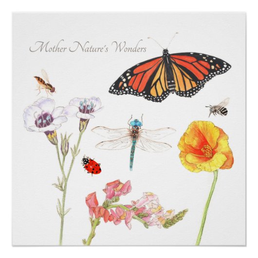 De wonderen van Moeder Natuur Perfect Poster (Voorkant)