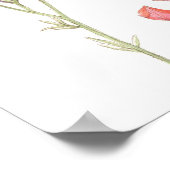 De wonderen van Moeder Natuur Poster (Hoek)