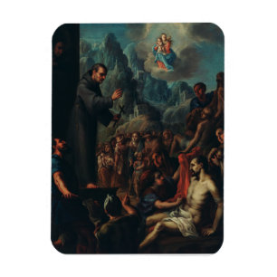 De wonderen van Sint-Salvador van Horta Magneet