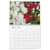 De Wonders van Natuur Kalender (Feb 2021)