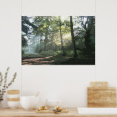 DE WOODLAND PATH 4 POSTER (Keuken)
