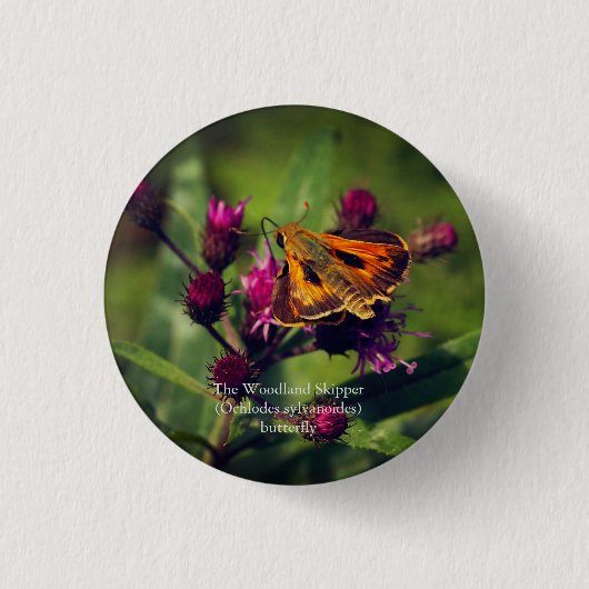 De Woodland Skipper vlinder Ronde Button 3,2 Cm (Voorkant)