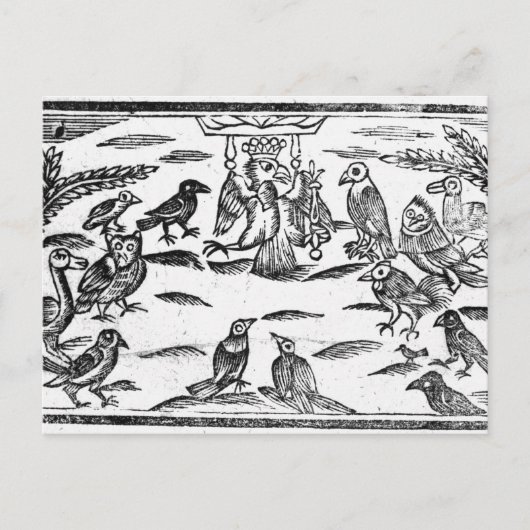 De Woody Choristers of de vogelharmonie Briefkaart (Voorkant)