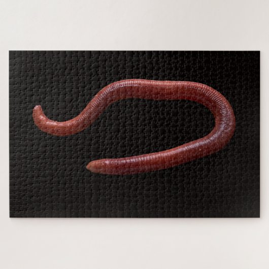     De Worm Collectie  Legpuzzel (Horizontaal)