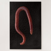     De Worm Collectie  Legpuzzel (Verticaal)