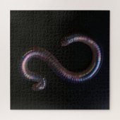     De Worm Collectie  Legpuzzel (Horizontaal)