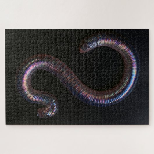     De Worm Collectie  Legpuzzel (Horizontaal)