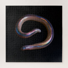     De Worm Collectie  Legpuzzel