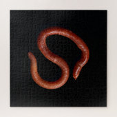     De Worm Collectie  Legpuzzel (Horizontaal)