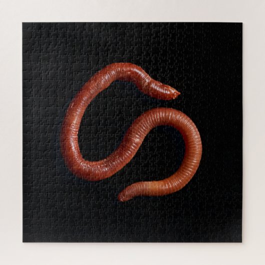     De Worm Collectie  Legpuzzel (Verticaal)