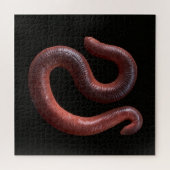 De Worm Collectie Legpuzzel (Horizontaal)