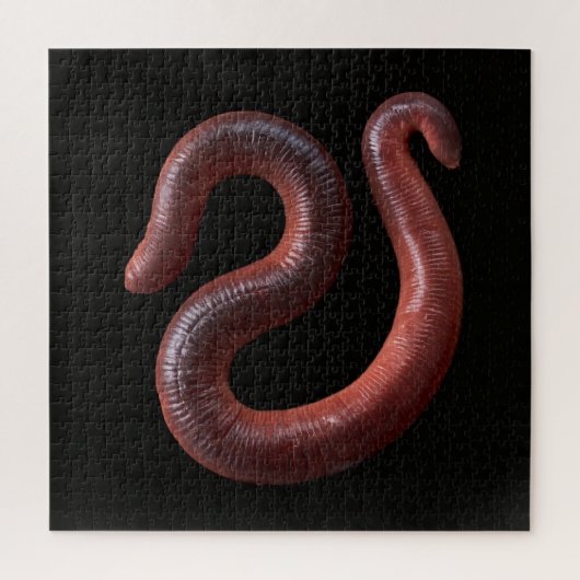 De Worm Collectie Legpuzzel (Verticaal)