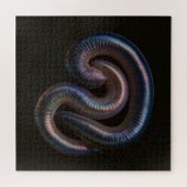 De Worm Collectie Legpuzzel (Horizontaal)