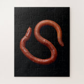     De Worm Collectie  Legpuzzel (Verticaal)