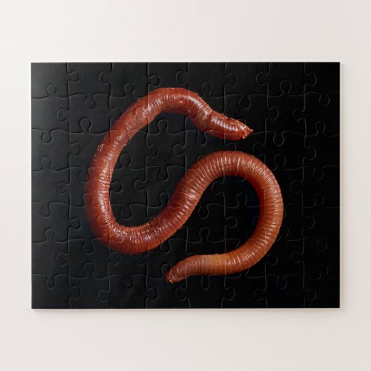     De Worm Collectie  Legpuzzel (Horizontaal)
